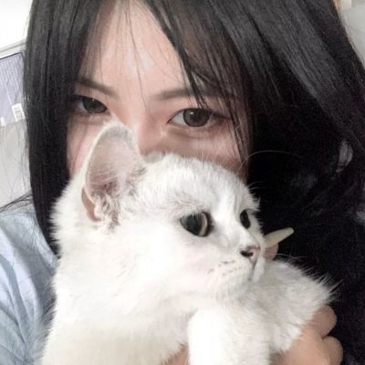 魔物契约进化游戏下载