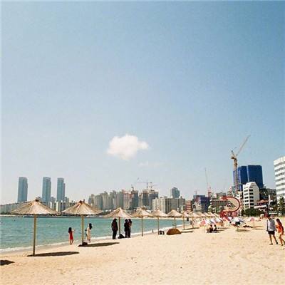 百度小汪汪手游下载